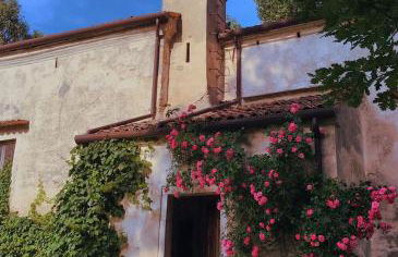 Tenuta Ca' Zen - Photo 12