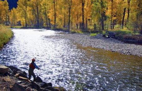 Talbot Pines - Foto 54