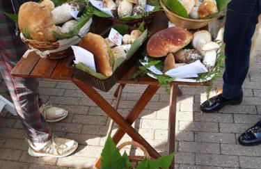 Giaveno, apartment "margherite" a pochi passi dal centro, wifi - Photo 41