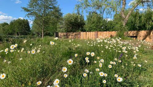 Alter Gasthof Seminar- und Gästehaus Spreewald - Foto 2