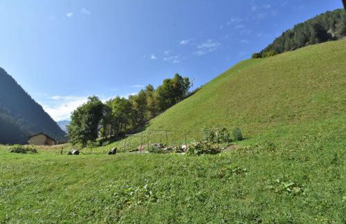 Apartment La Casetta di Biorca by Interhome - Foto 11