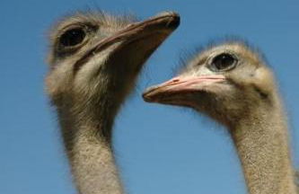 Holiday Home Alleenwiesen by Interhome - Photo 18