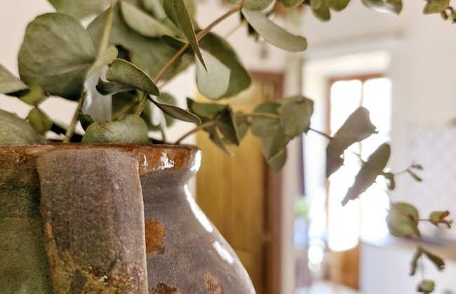 APARTAMENTOS VITA CENTER - Foto 2