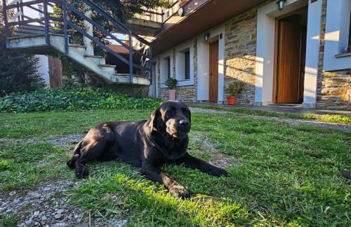 Apartamentos Castello - Foto 43