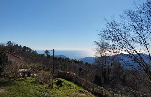 Elementi ACQUA - Photo 12