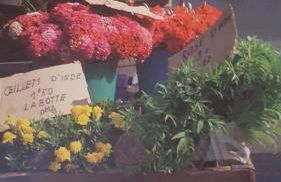 La Maison de Valérie - Foto 21