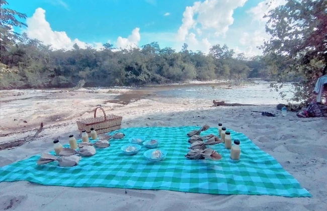 River Trekking in Chapada dos Veadeiros - Photo 6