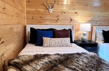 Dollywood Retreat Heated Pool Close to Parkway - Foto 9