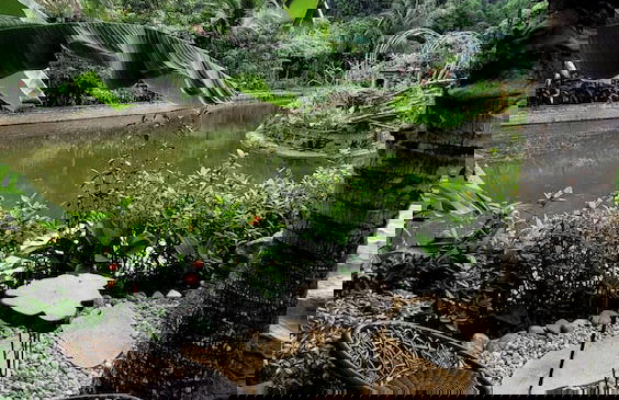 Fairy Mountain Retreat - Foto 56