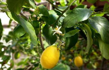 Ignatia's house - Photo 18