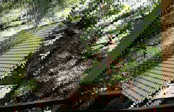 Surf N Sun - Foto 10