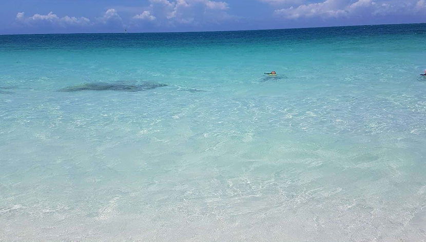 Les eaux transparentes de Cayo Santa María