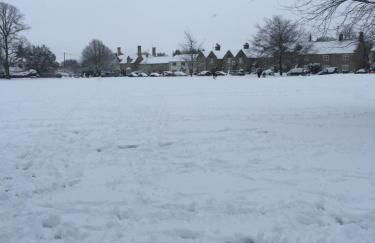 Cottage on the Green - Photo 16