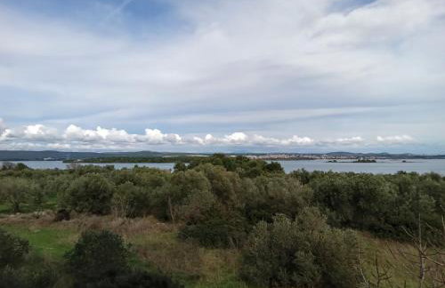 Grand Vista - Photo 32