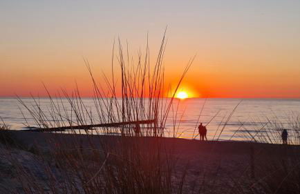 Ferienwohnung Ostsee Graal-Müritz Küstenwald - Foto 28