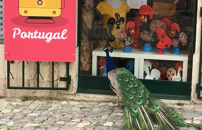 Luxury 5BR Apt Castle Views in HeartofLisbon - Foto 121