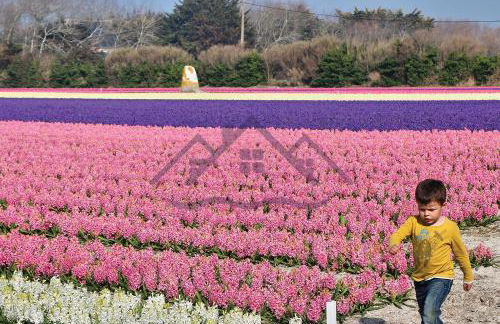 LocaLise - M11 - Ty Gwennili - Maison de plain pied avec terrain entièrement clôturé - Accès plage et centre à pied - Wifi inclus - Draps inclus - Animaux non admis - Foto 39