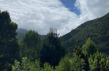 Appartement cœur vallée d'Aure - Foto 1