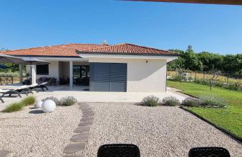 Green Forest - Photo 33