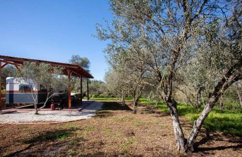 Onar Camper - Photo 34