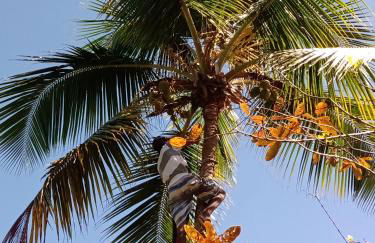 Chale da Lu - Photo 60