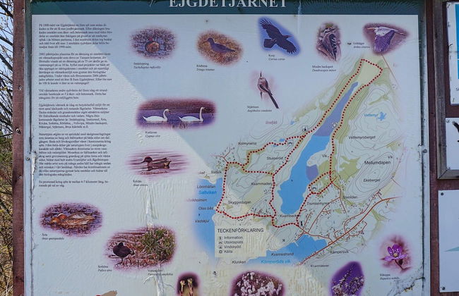 7 Person Holiday Home in Fjallbacka - Photo 23