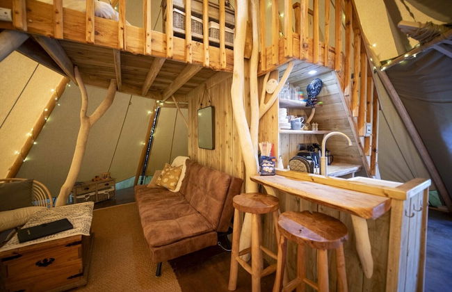 Torre Cider Farm - Foto 20