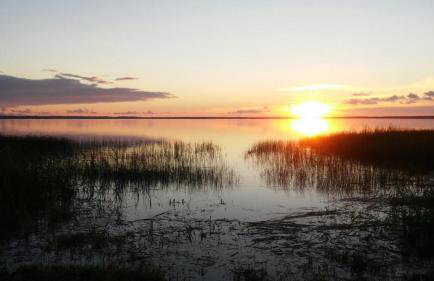 Stara Stodola / Old Barn - Foto 19