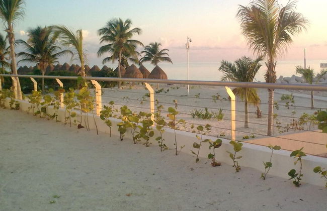 La Amada Residences Luxury - Foto 57