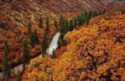 Stunning Log Cabin Rental with Breathtaking Views in Tygh Valley, Oregon - Foto 6