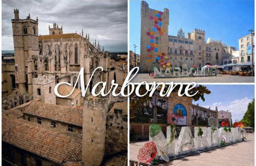 à 5mn de la réserve Africaine, charmante maison de village avec patio - Foto 16