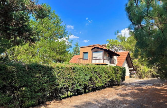 Cabaña El Roble Mazamitla - Foto 46