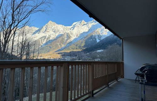 Joli appartement 2 chambres Belle Vue, Les Houches - Foto 7