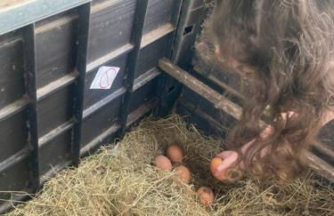 Ruby's Retreat! Farm Stay! North devon! Sleeps 6! Beaches Exmoor! - Foto 40