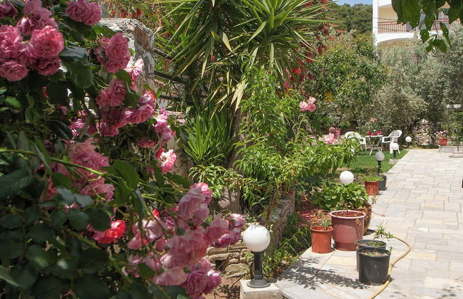 villa penelope - Photo 43