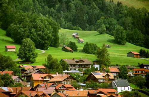 FEWO Schwandenhof - Foto 11