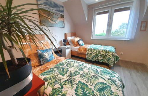 Villa Aurea - Foto 9