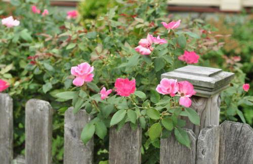 3BR Beautiful Remodeled Victorian w/ Beach Locker - Foto 27