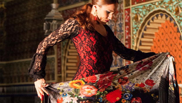 Espectáculo flamenco en Torres Bermejas - Foto 2, Bailaora de flamenco en Torres Bermejas