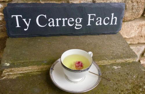 Ty Carreg Fach Staycation Cottage Cardiff - Foto 24