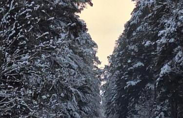 Appartement Herrlich - Foto 56