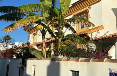 MET Oliva Nova Playa chalet grande con jardín MET a 5 minutos y a 3 de la playa - Foto 48