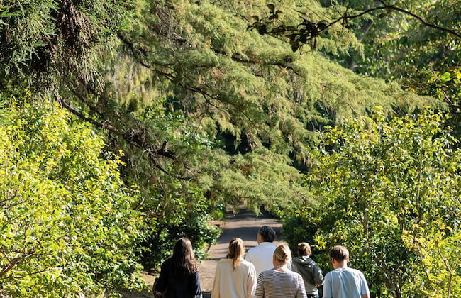 Casa Velha do Palheiro, Relais & Chateaux - Foto 29