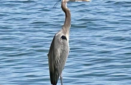 Linda's Lake House Waterfront Home on Lake Conroe - Foto 37