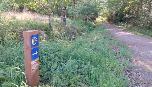 CASA abruñeiras - Foto 4