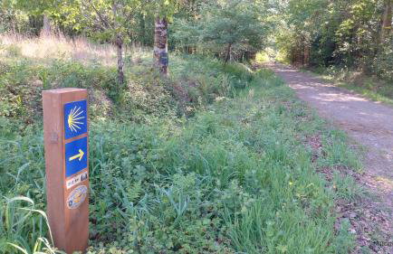 CASA abruñeiras - Foto 4