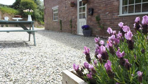 The Brick Barn, Drewsteignton - Foto 4, Garden view