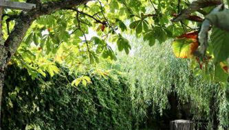 Casa da Eira - Foto 5, Garden