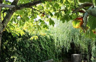 Casa da Eira - Foto 5