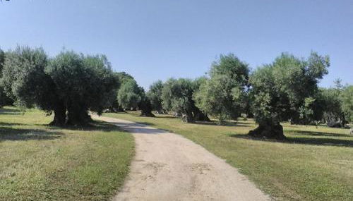 grottedisileno - Foto 3, Garden